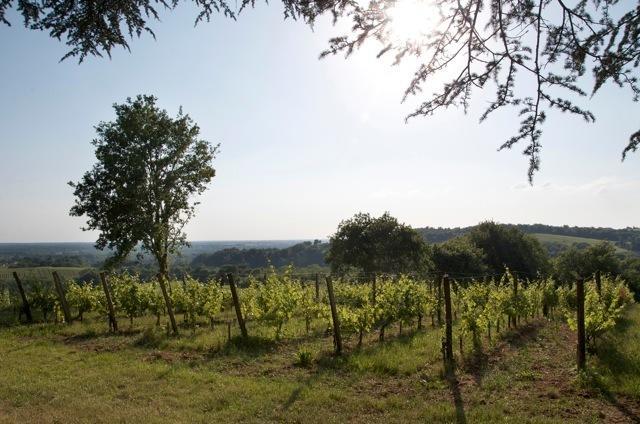 Chateau Fauchey Cadillac Bagian luar foto