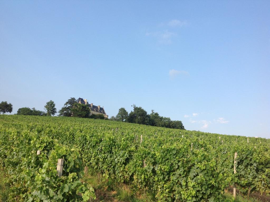 Chateau Fauchey Cadillac Bagian luar foto